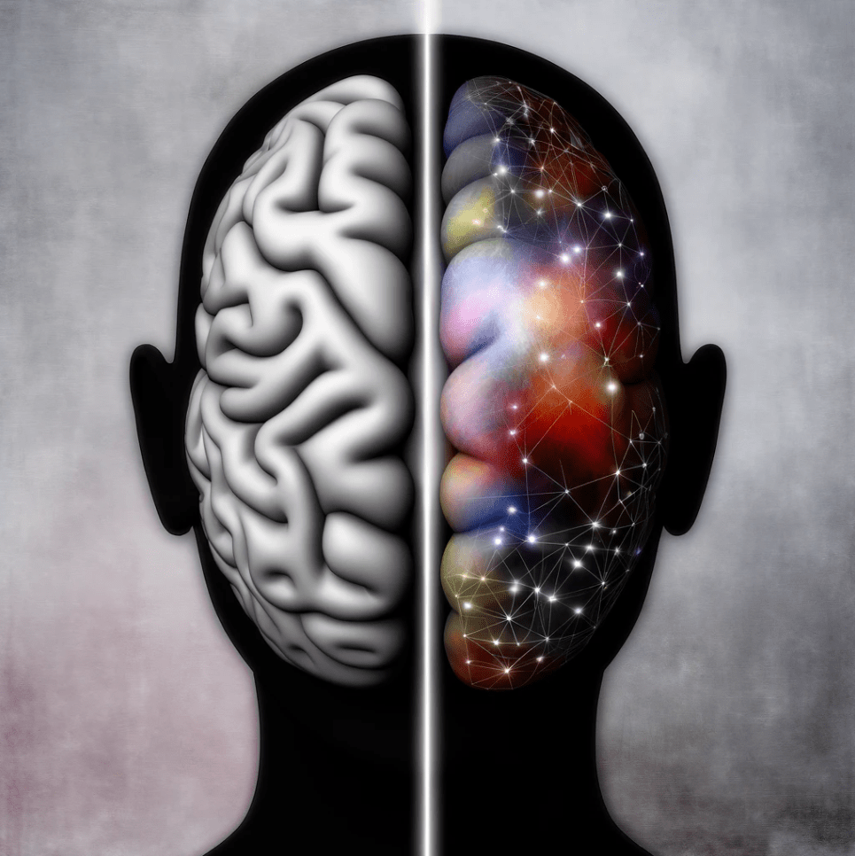 How Does the Brain Play Into&nbsp;Mindset?