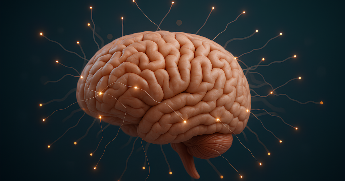 Highly detailed 3D rendering of a human brain with glowing neural connections extending outward, symbolizing neuroplasticity and the brain’s ability to rewire itself through affirmations and mindset shifts.